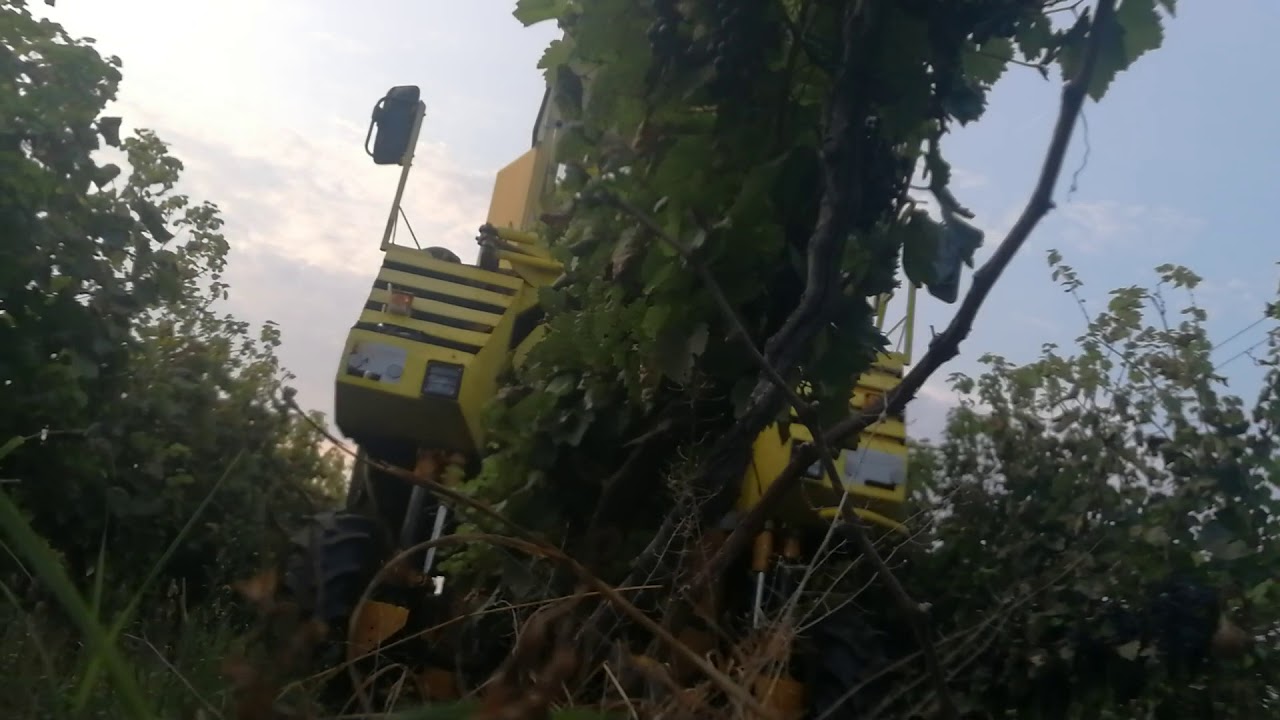 Gregoire G90  19.08.2018