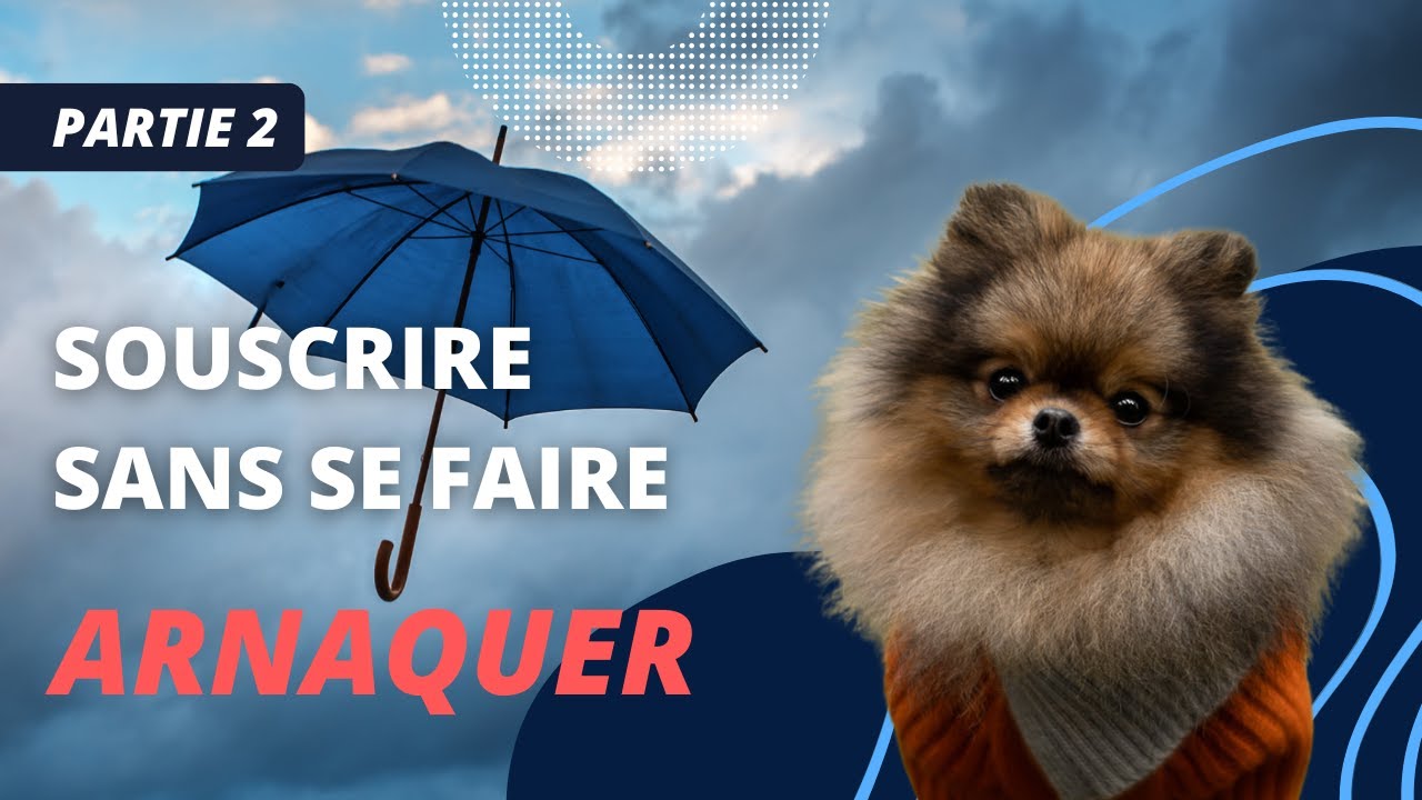 🐶 Comment souscrire &agrave; une assurance sant&eacute; pour chien sans se faire arnaquer ? : #pomeranian #chien