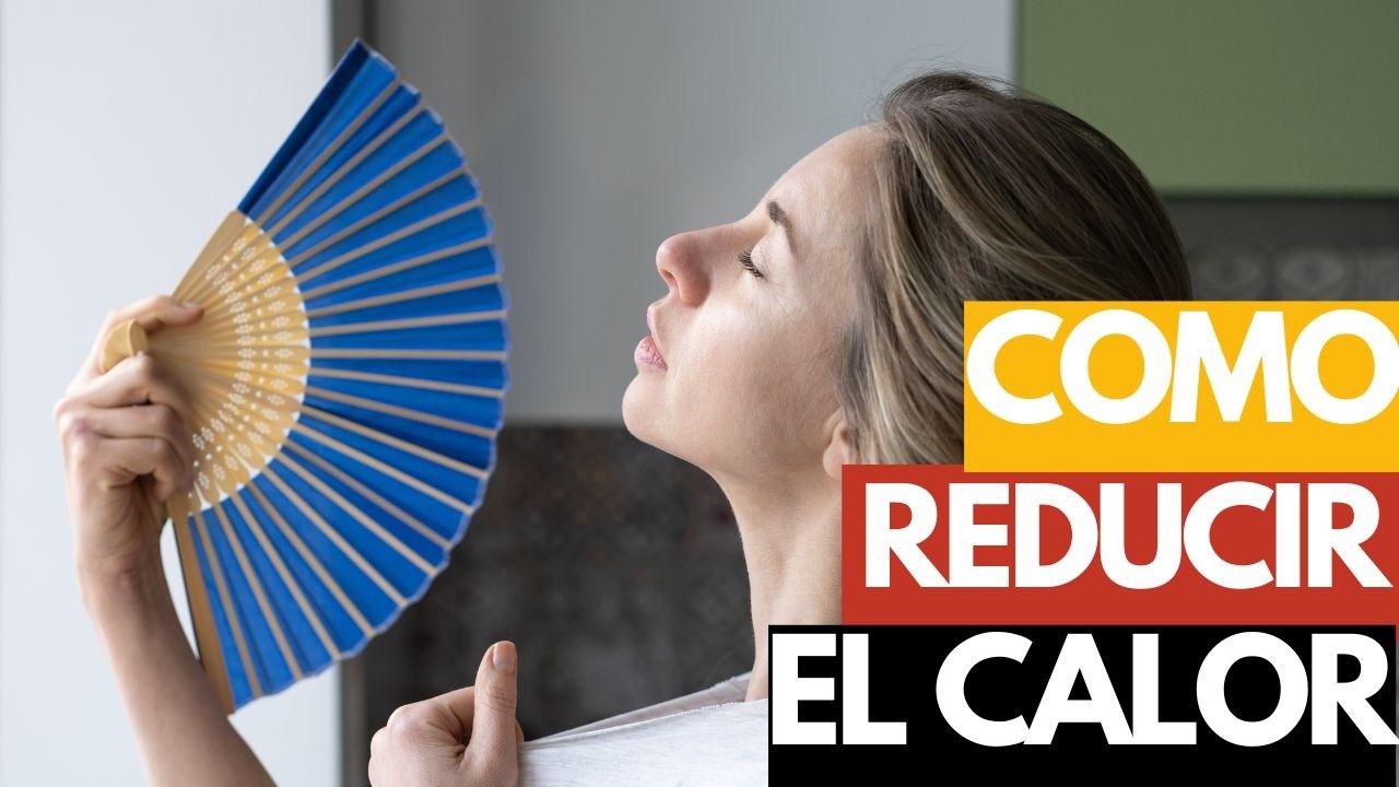 C&oacute;mo reducir el CALOR de tu casa