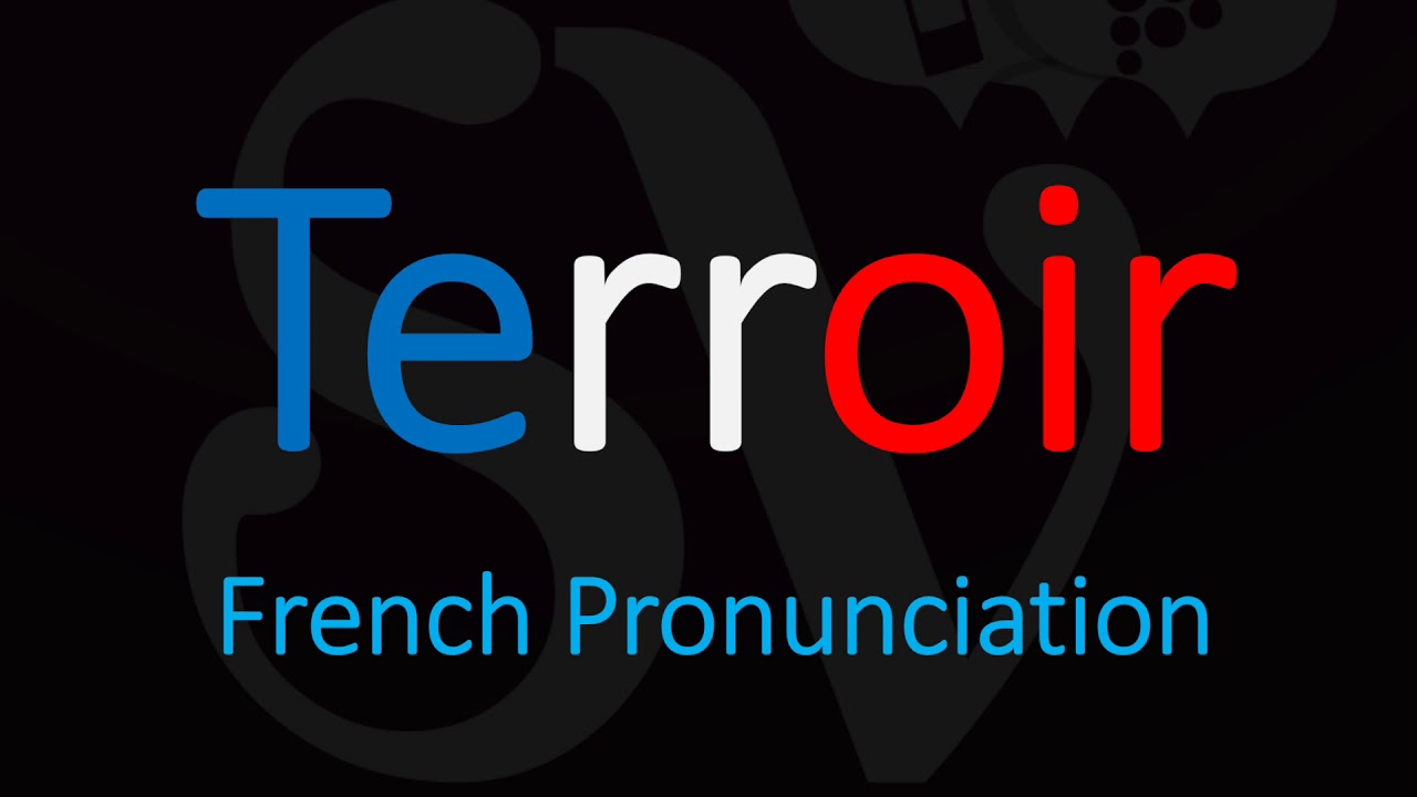 How to Pronounce Terroir? French Wine Term Pronunciation