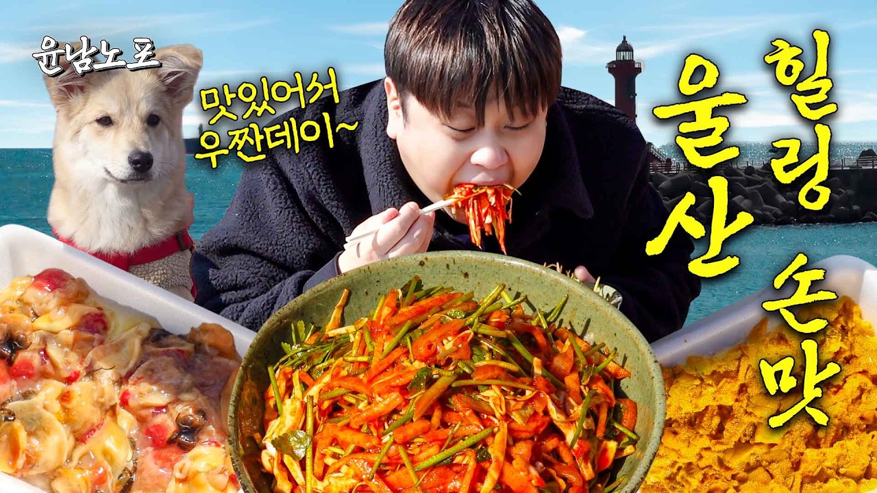 [EN]남노가 이렇게까지 행복하길 바란 건 아니었어&hellip; (울산 방어진항, 가자미 회무침 레시피, 해녀의 집)ㅣ윤남노포 EP.25
