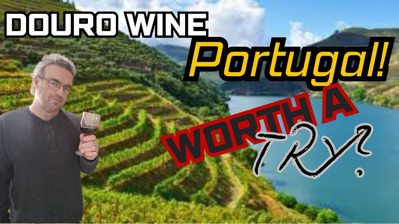 Checking out the wine of the Douro in Portugal, great for wine lovers, tourists and immigrants