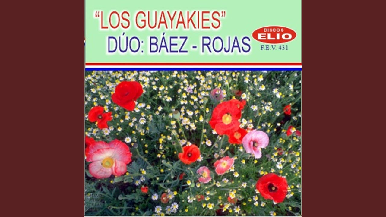 Mi pagina perdida