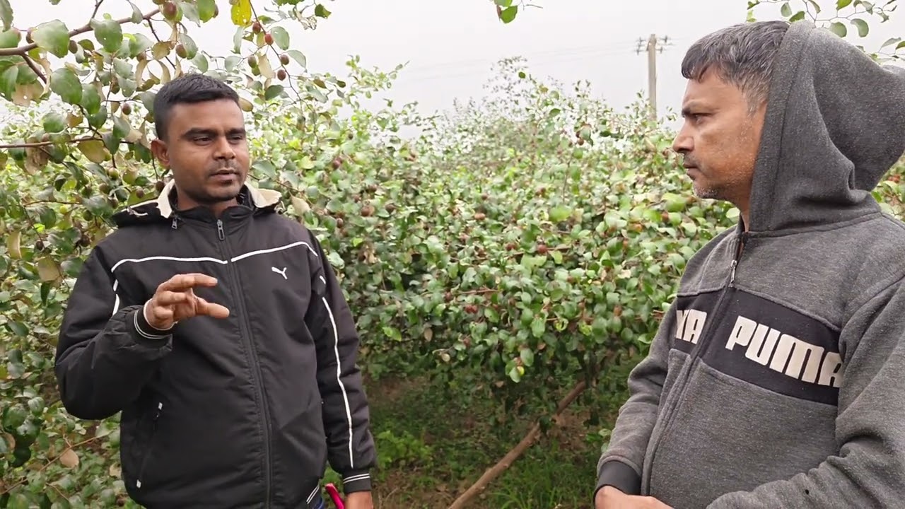 Son dur boroi bagan 2026