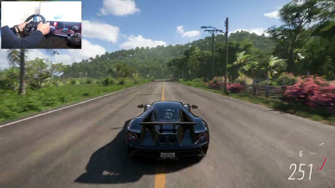 Forza Horizon 5  -  Ford GT