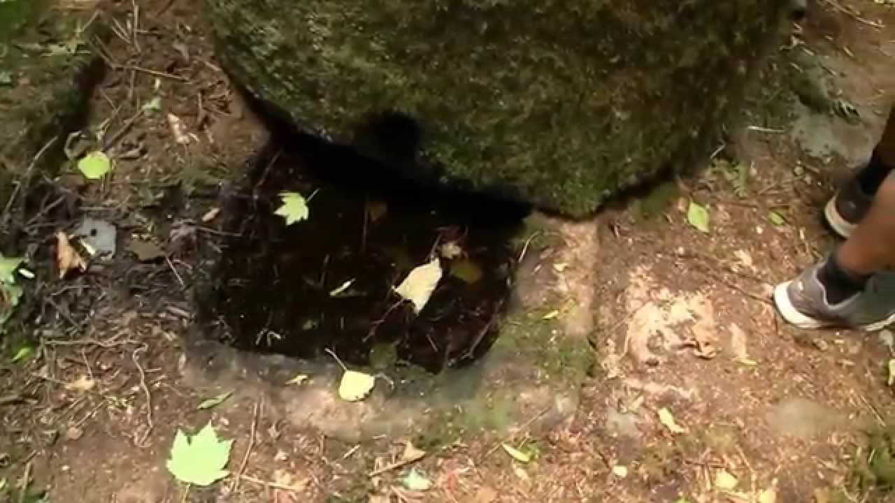 Scarabin en Plounéour Ménez  son kanndi et les 