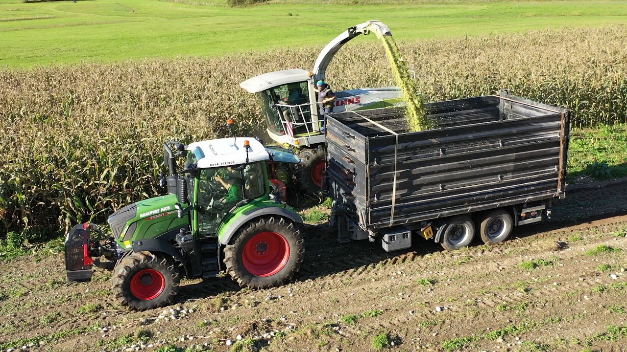Maisernte auf 1000m Seehöhe | Maschinenring- Salzburg | Fendt 314 Vario | Claas | Steyr Case | agco