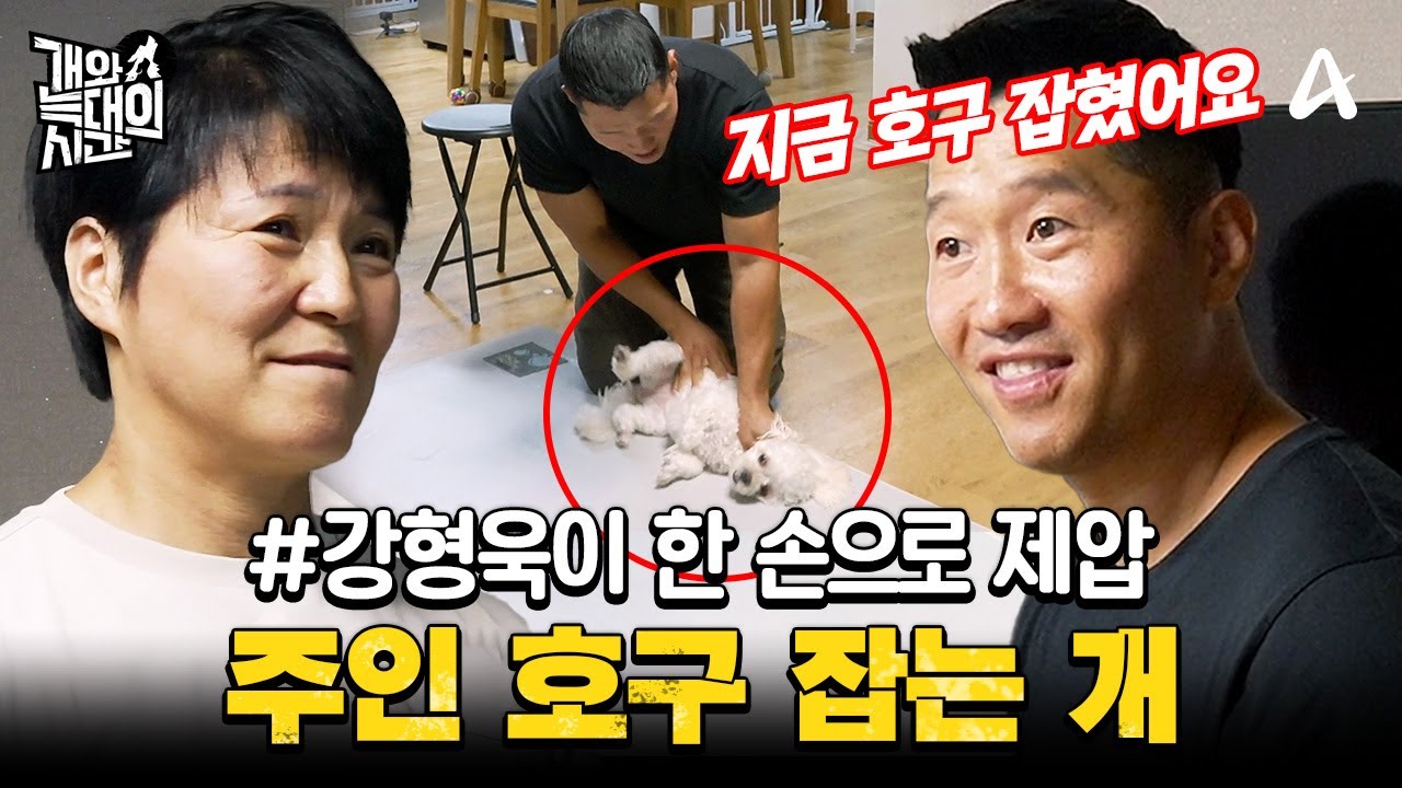 [#클립배송] 주인을 만만한 호구 취급하는 말티푸💥 한 손으로 제압한 강형욱 | 개와 늑대의 시간 9회