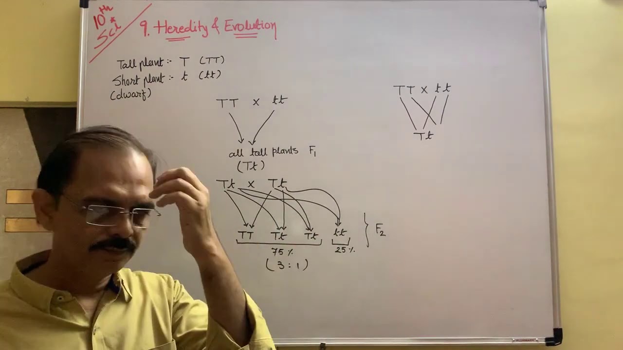 std 10 Sci ch 9 Heridity & evolutions Lec 2
