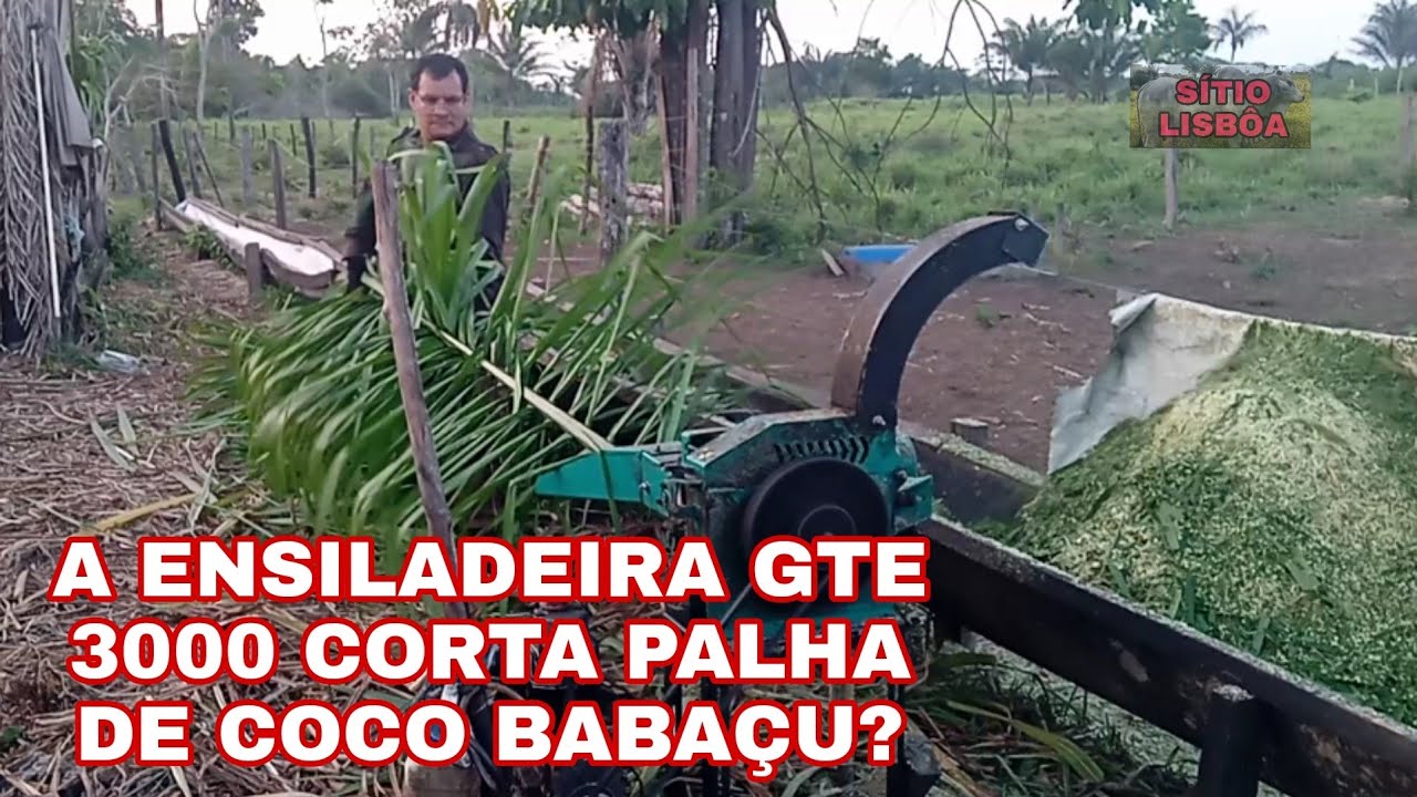 A ENSILADEIRA GTE 3000 CORTA PALHA DE COCO BABAÇU?