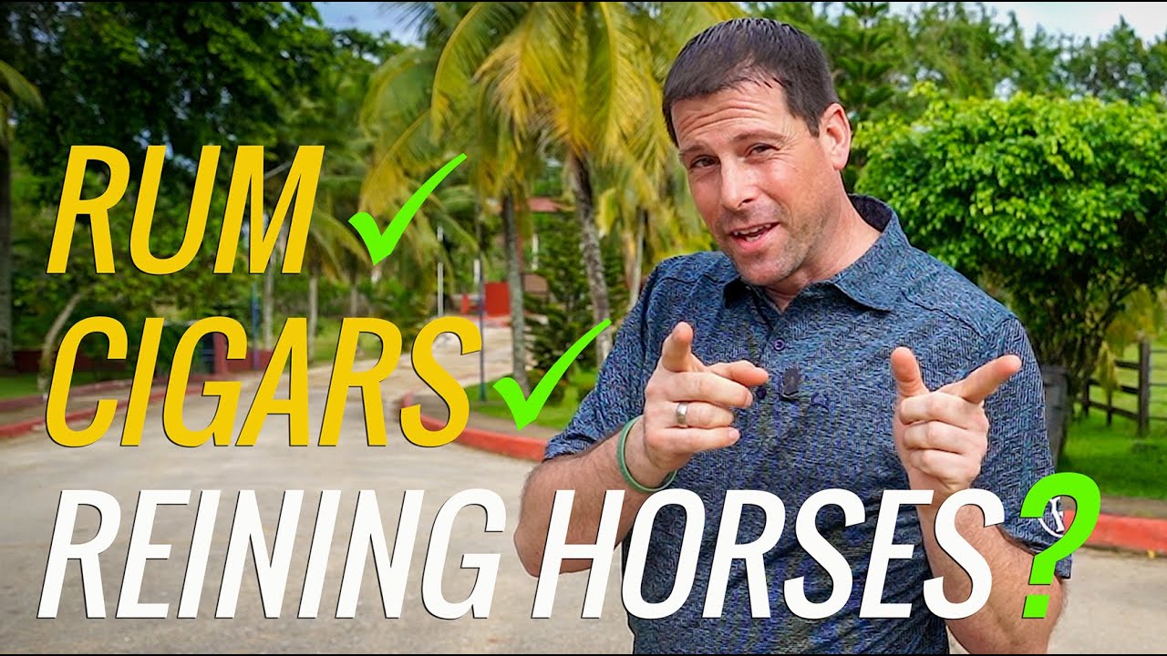 SCOUTING Reining Horses In The RAIN FOREST