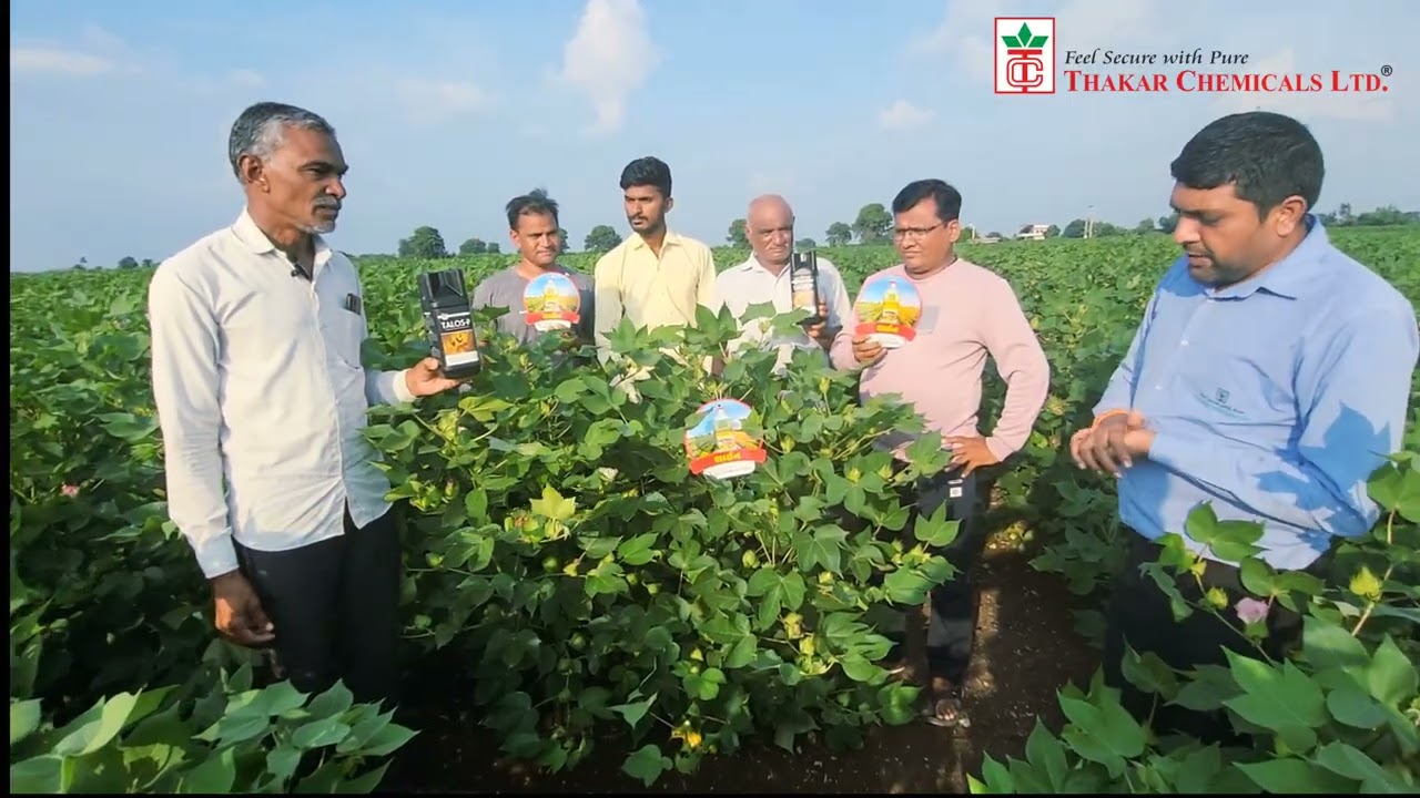 કપાસમાં  ઉત્પાદન  વધારવા  માટેની  બેસ્ટ પ્રોડક્ટ 