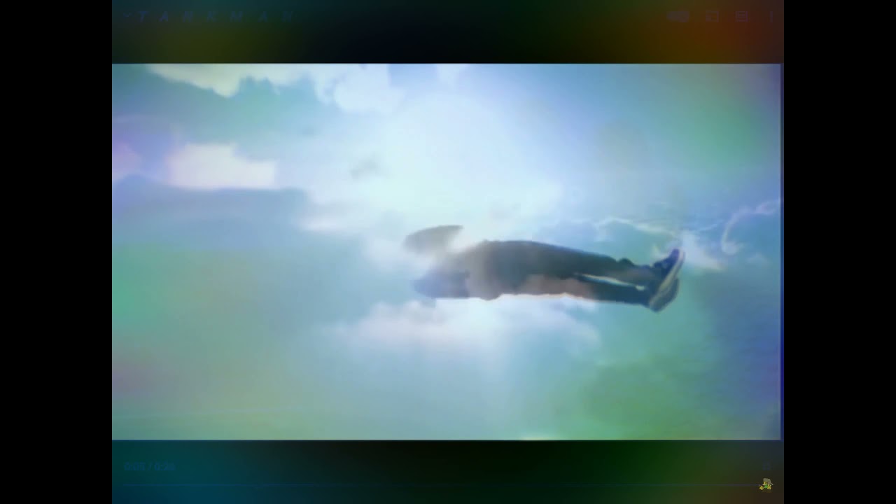 Mr Reeze Fly But Realistic