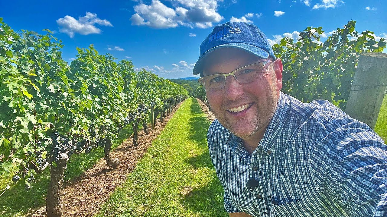 Shelton Vineyards | The Ingles Open Road - Episode 143