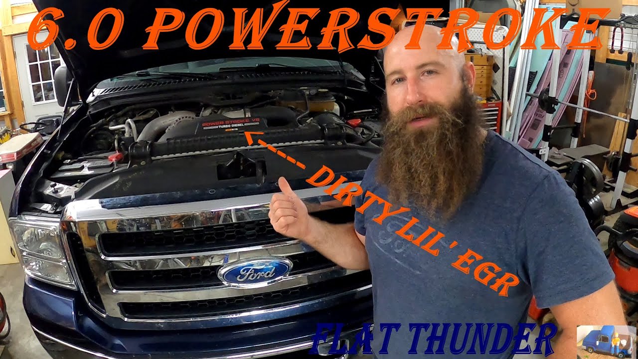 6.0 POWERSTROKE; DIRTY LIL EGR (EGR VALVE CLEANING / MAINTENANCE)