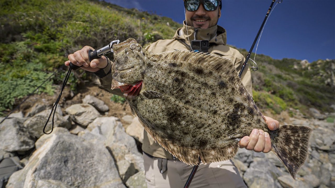 Lenguado y Corvina XL en la Quinta Región Chile - Flat Fish & Seabass