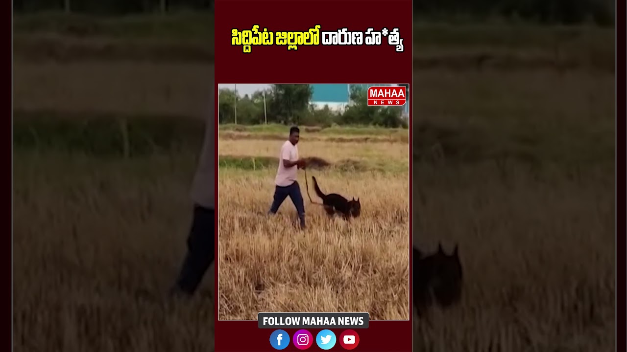 సిద్దిపేట జిల్లాలో దారుణ హ*త్య | Brutal murder in Siddipet district | Latest Update | Mahaa News