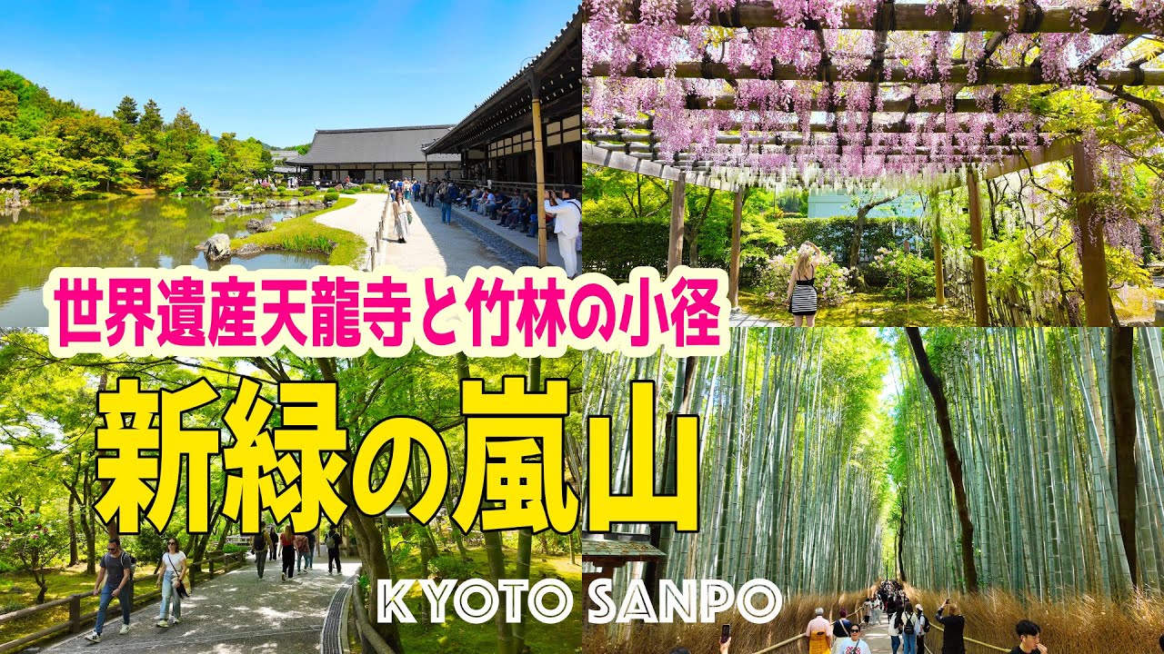 2025/5/3 GW京都観光Vlog 世界遺産 天龍寺から 新緑映える竹林の小径を歩く大混雑でも楽しめる京都観光旅 /新緑の絶景スポット/新緑の京都/新緑さんぽ/Kyoto walk [京都4K]