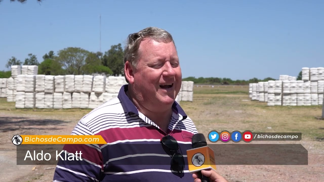 Aldo Klatt, productor de algodón en Villa Angela, Chaco