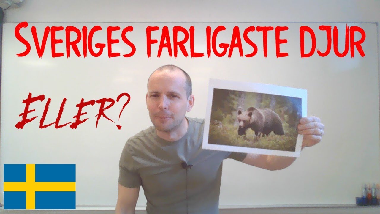 Sveriges farligaste djur, SFI