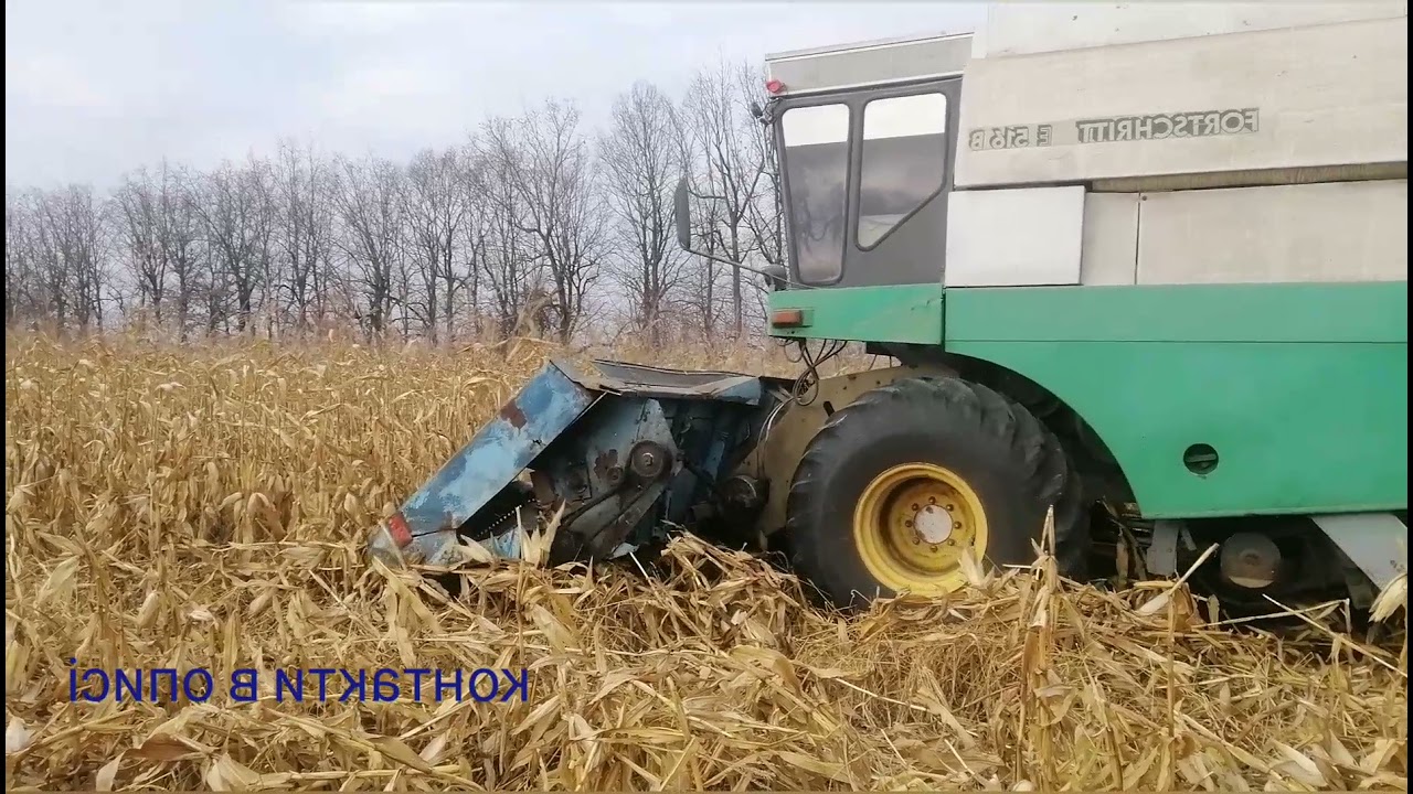 @завершення збору кукурудзи