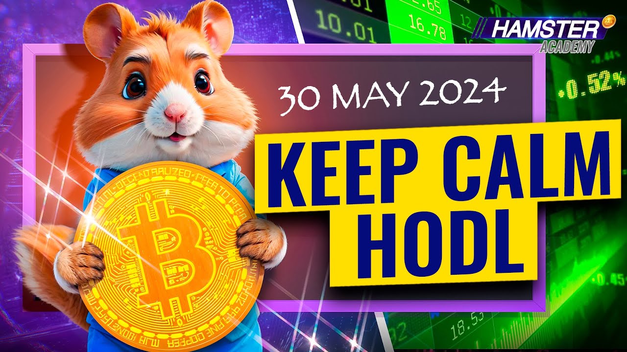 Ходлинг для начинающих: Пошаговое руководство по получению прибыли 💪 Hamster Academy