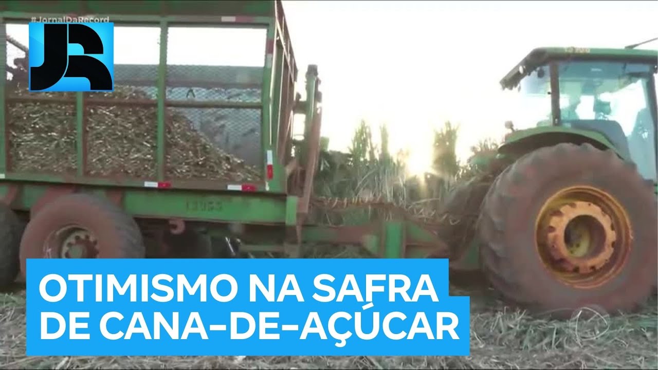 Safra da cana-de-açúcar começa com boas perspectivas para agricultores e empresários