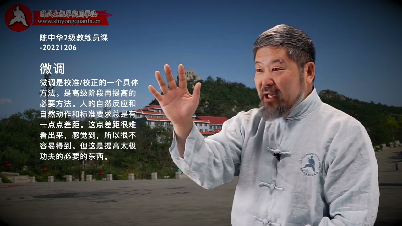 Micro-Adjustment-Chen Zhonghua Level 2 Instructors Online Class 20221206