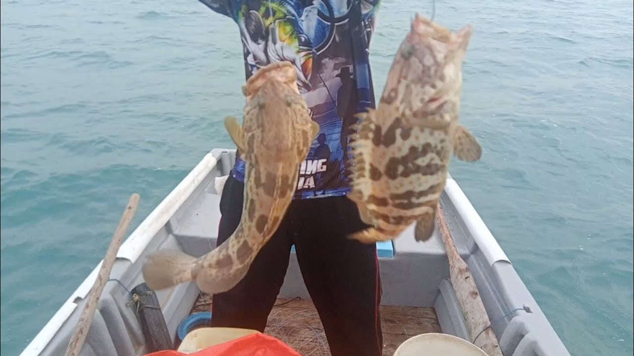 Mancing ikan karang pakai udang hidup episode 49