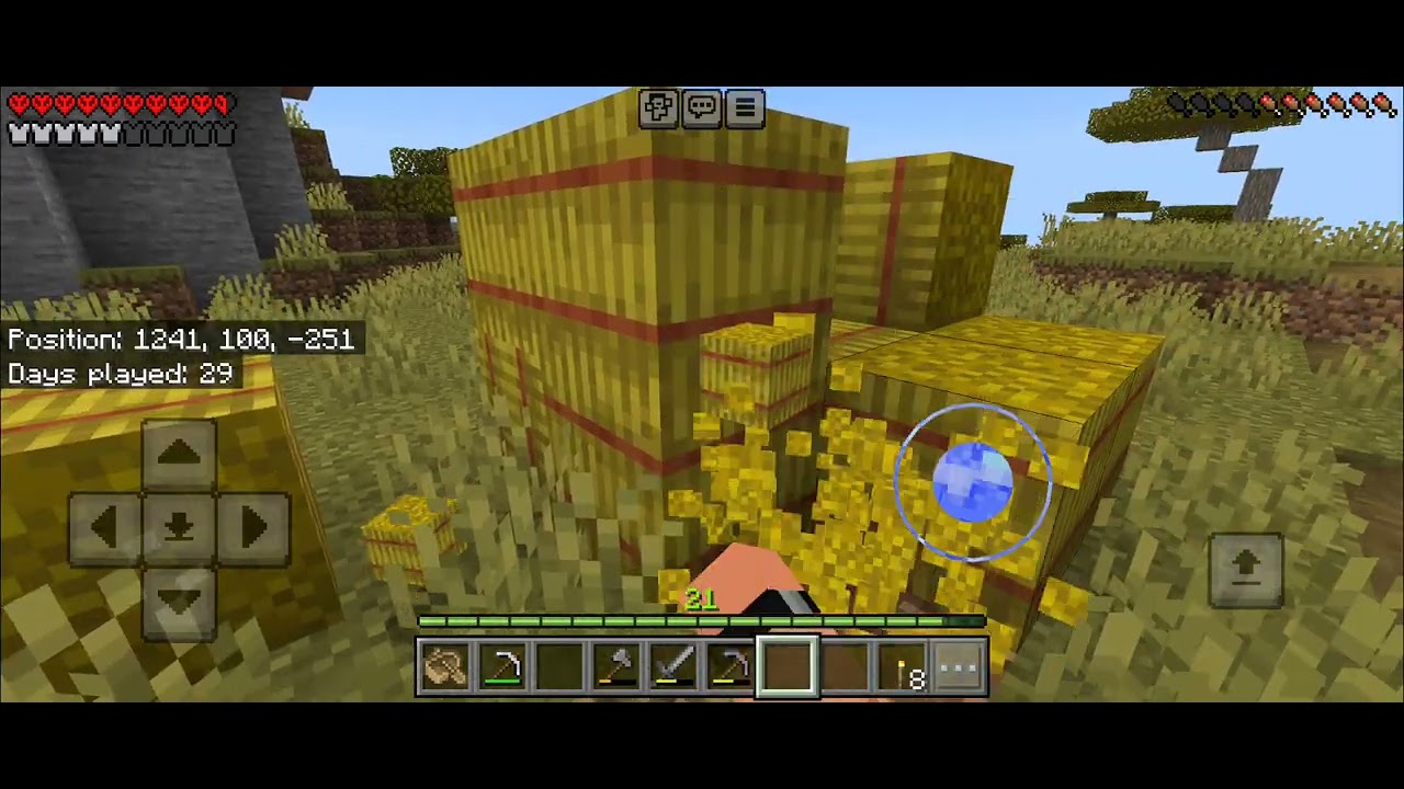 Minecraft Video 20