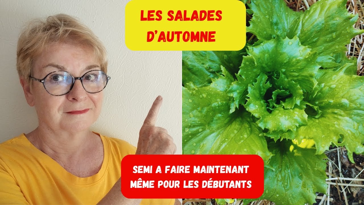 POURQUOI PAS SE LANCER DANS VOS PREMIERS SEMIS DE SALADES EN AOUT?