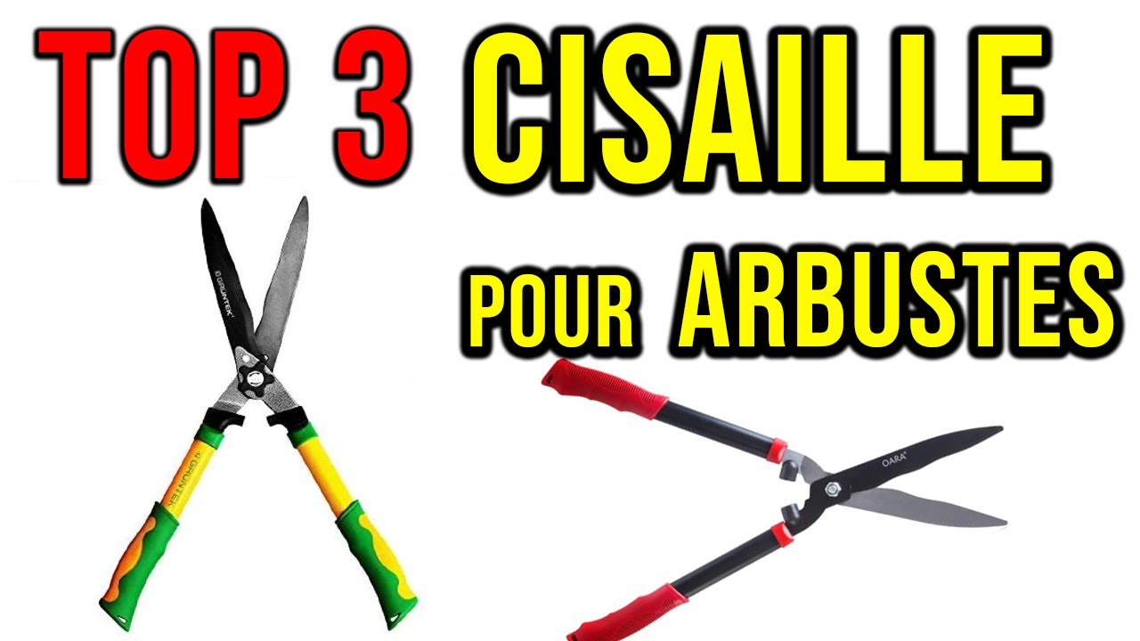 🥇 TOP3 ► Meilleure Cisaille Pour Jardin (2021) ✅