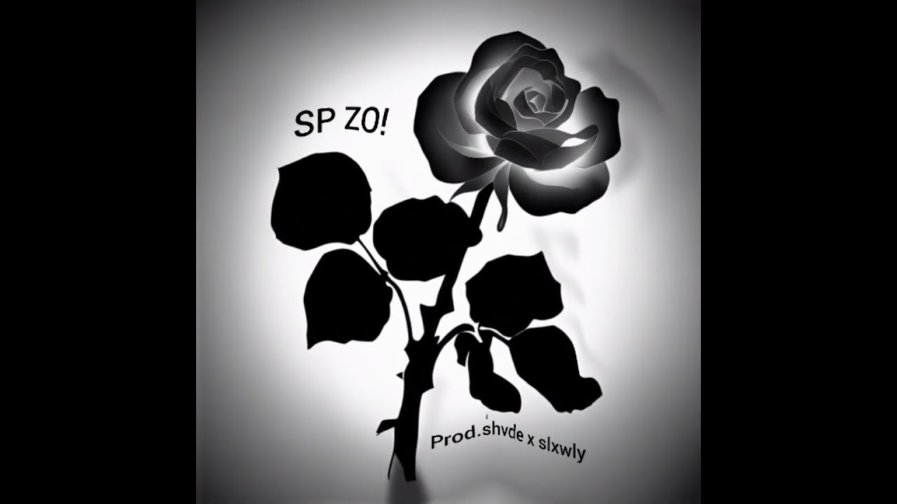 SP ZO! Prod.shvde x slxwly