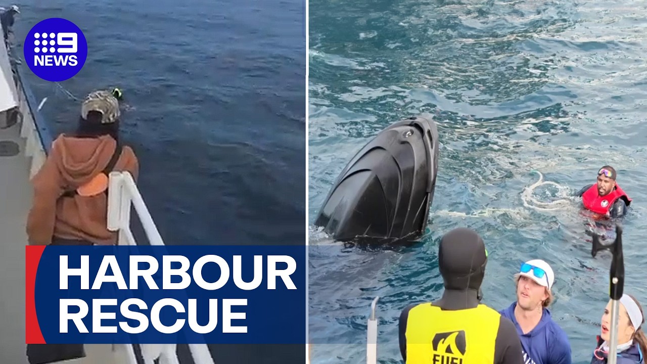 Dramatic rescue after jet ski capsizes in Sydney Harbour | 9 News Australia