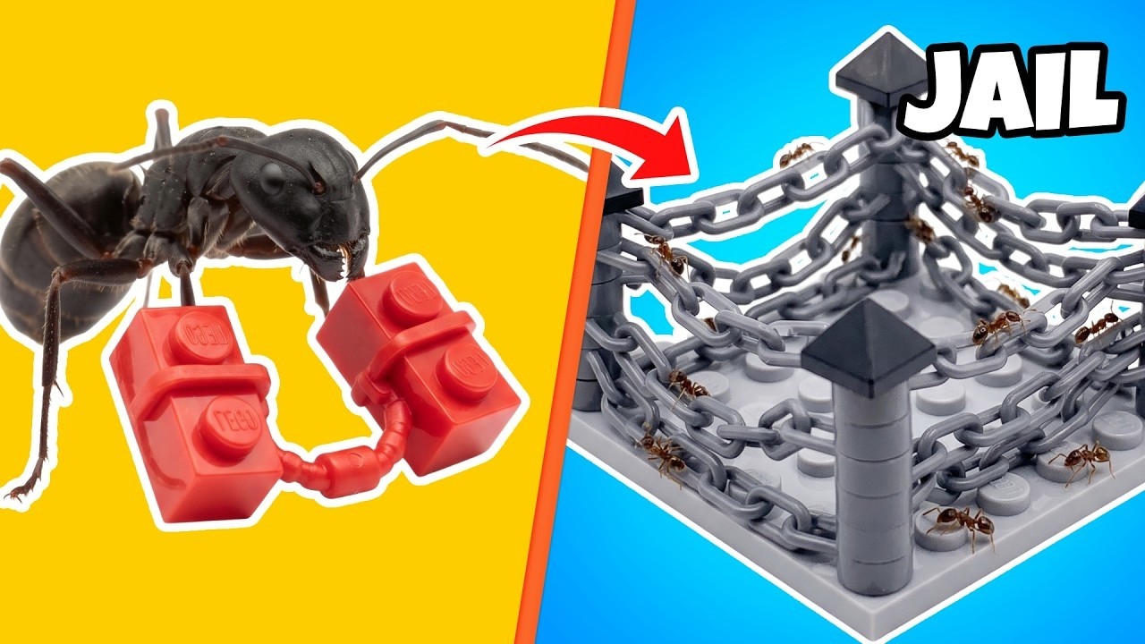 Я построил город из LEGO для муравья