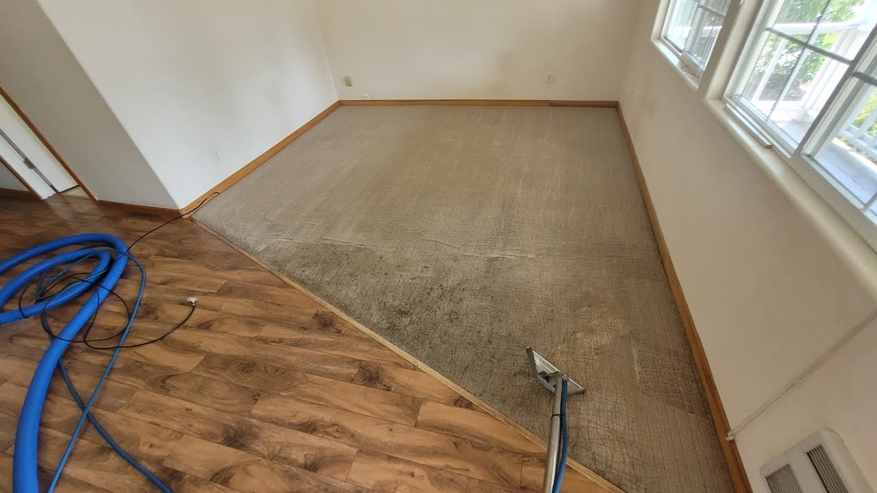 Rat nasty carpet code red for the win
