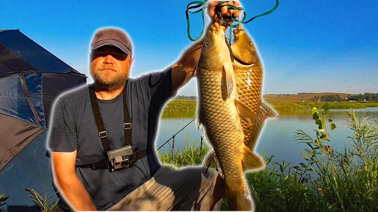 Catch & COOK Common Carp! (New Recipe)