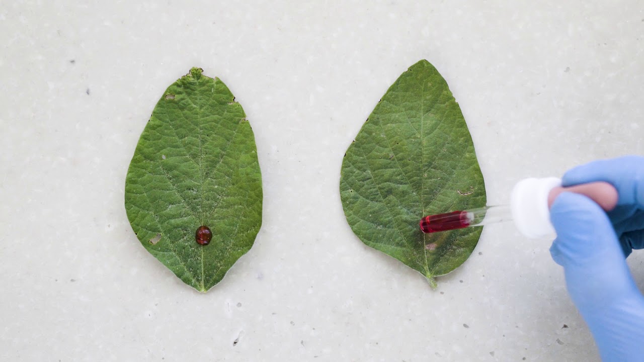 BREAK-THRU® - #Coadyuvante. Poder súper humectante ¡al instante!