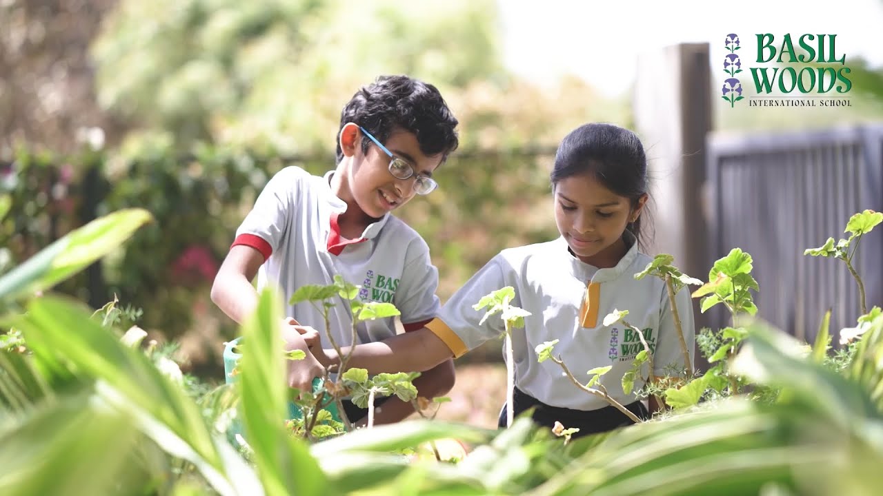 My school | Basil Woods | BWIS Gunjur