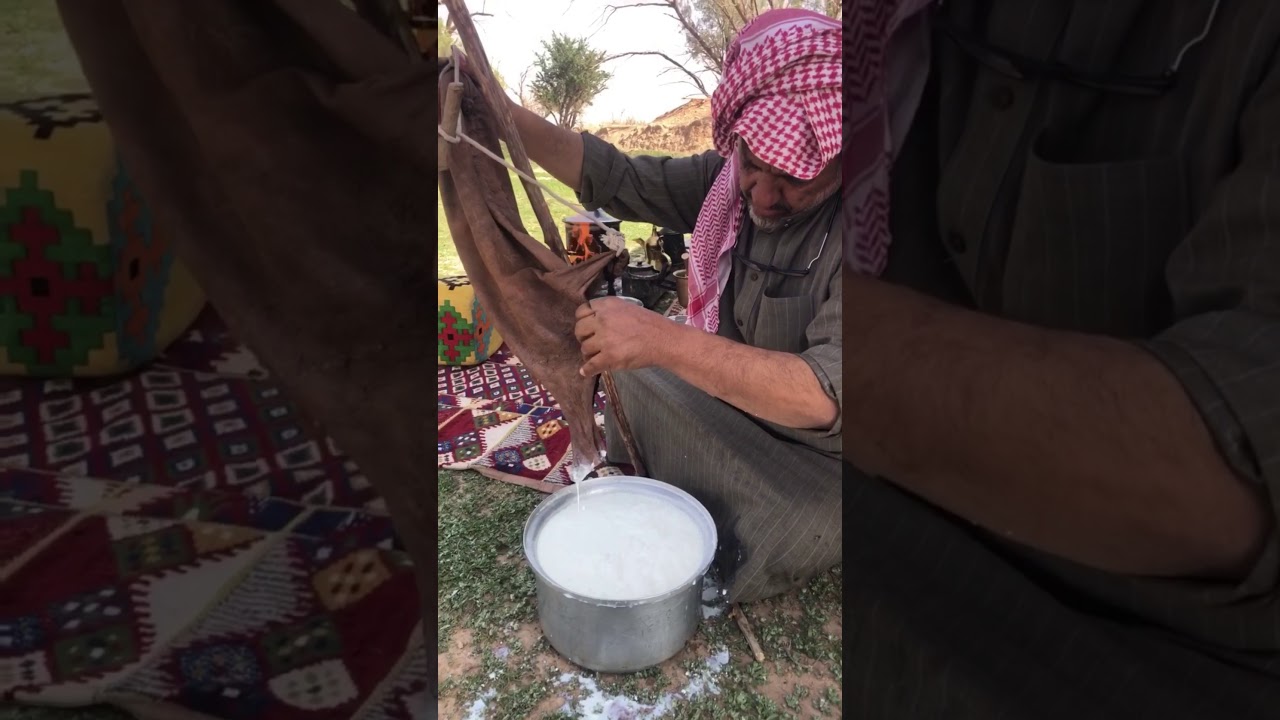 تكية الرحاله النادر/الحلقه الثلاثون من ضيفيات تكية النادر#سناب_الرحاله النادر hamadaa331