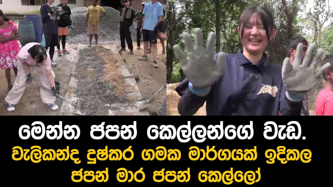 වැලිකන්ද දුෂ්කර ගමක මාර්ගයක් ඉදිකල ජපන් මාර ජපන් කෙල්ලෝ..මෙන්න ජපන් කෙල්ලන්ගේ වැඩ.
