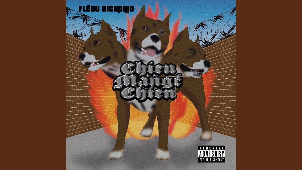 Chien Mangé Chien