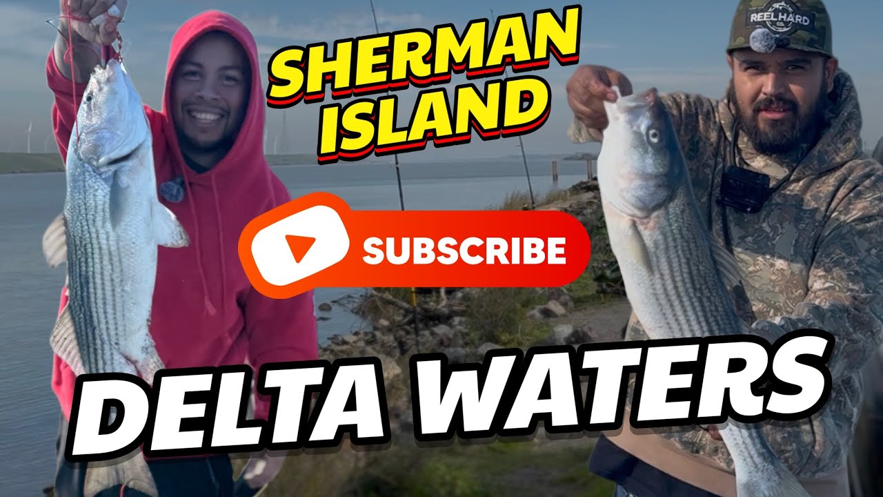 SHERMAN ISLAND STRIPER FISHING