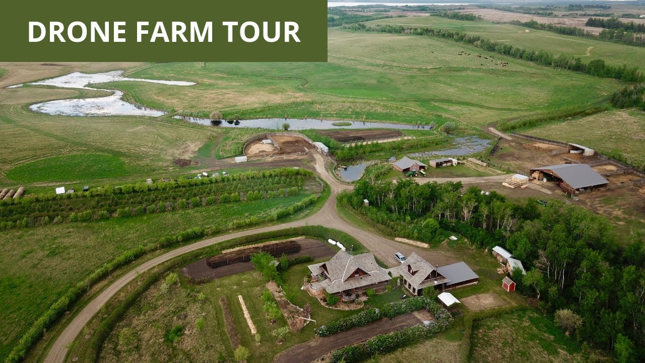 Экскурсия с дрона по пермакультурной ферме