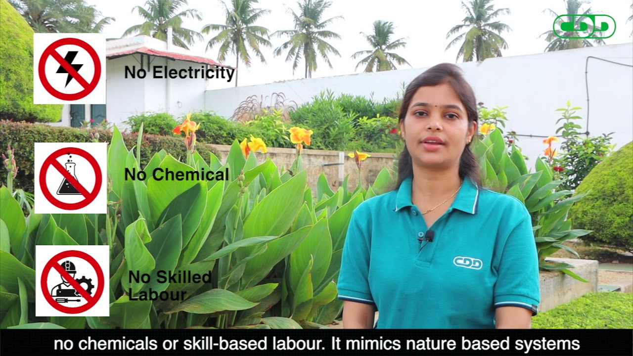 CDD Society India final