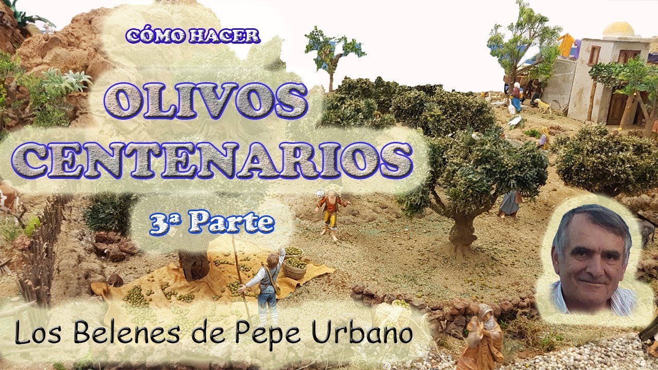 OLIVO CENTENARIO DE DOS TRONCOS 3ª