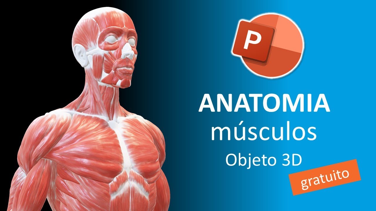 Como fazer uma aula no PowerPoint criativa sobre anatomia humana - Tutorial