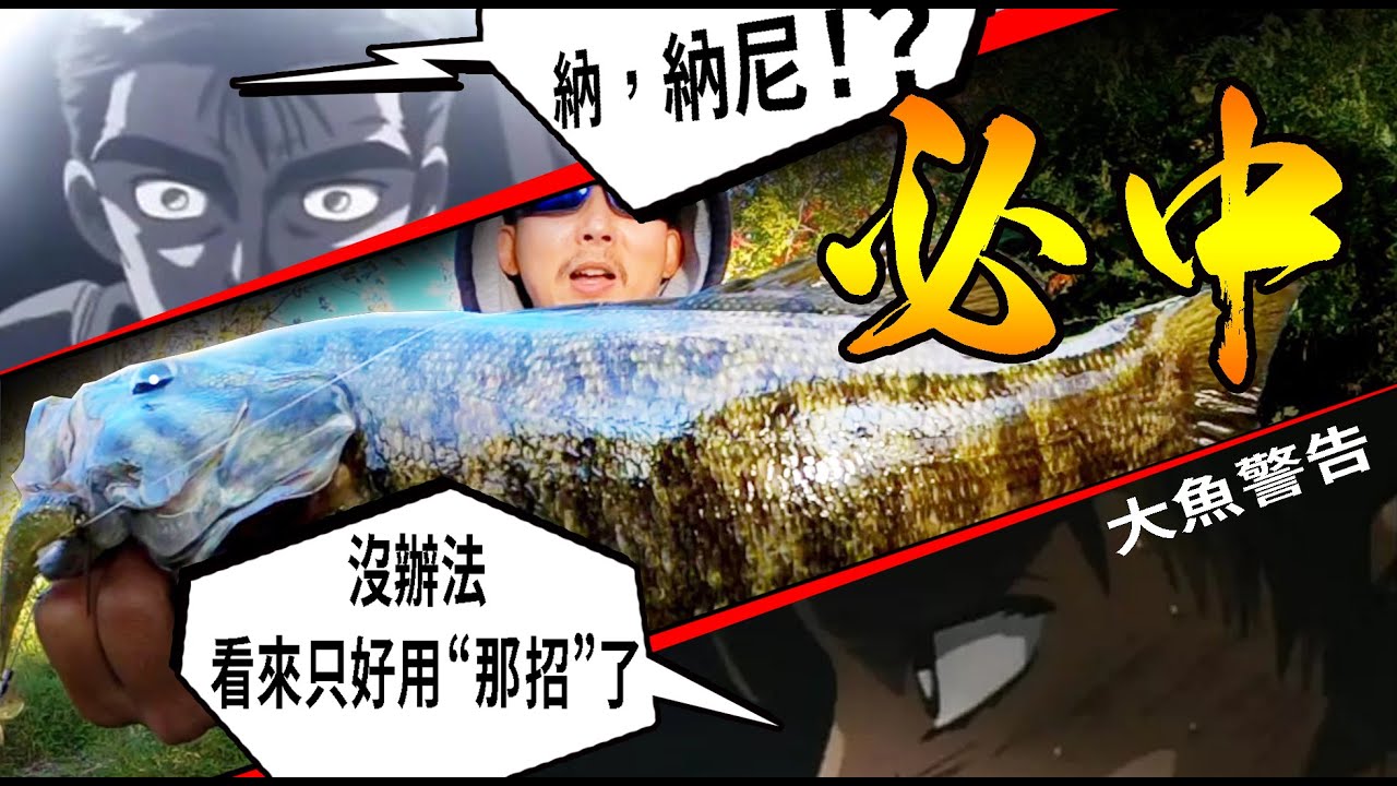 路亞軟餌T尾軟魚的秋季找魚 | 你身邊一定有魚的隱秘釣點（滿滿的大魚釣獲）