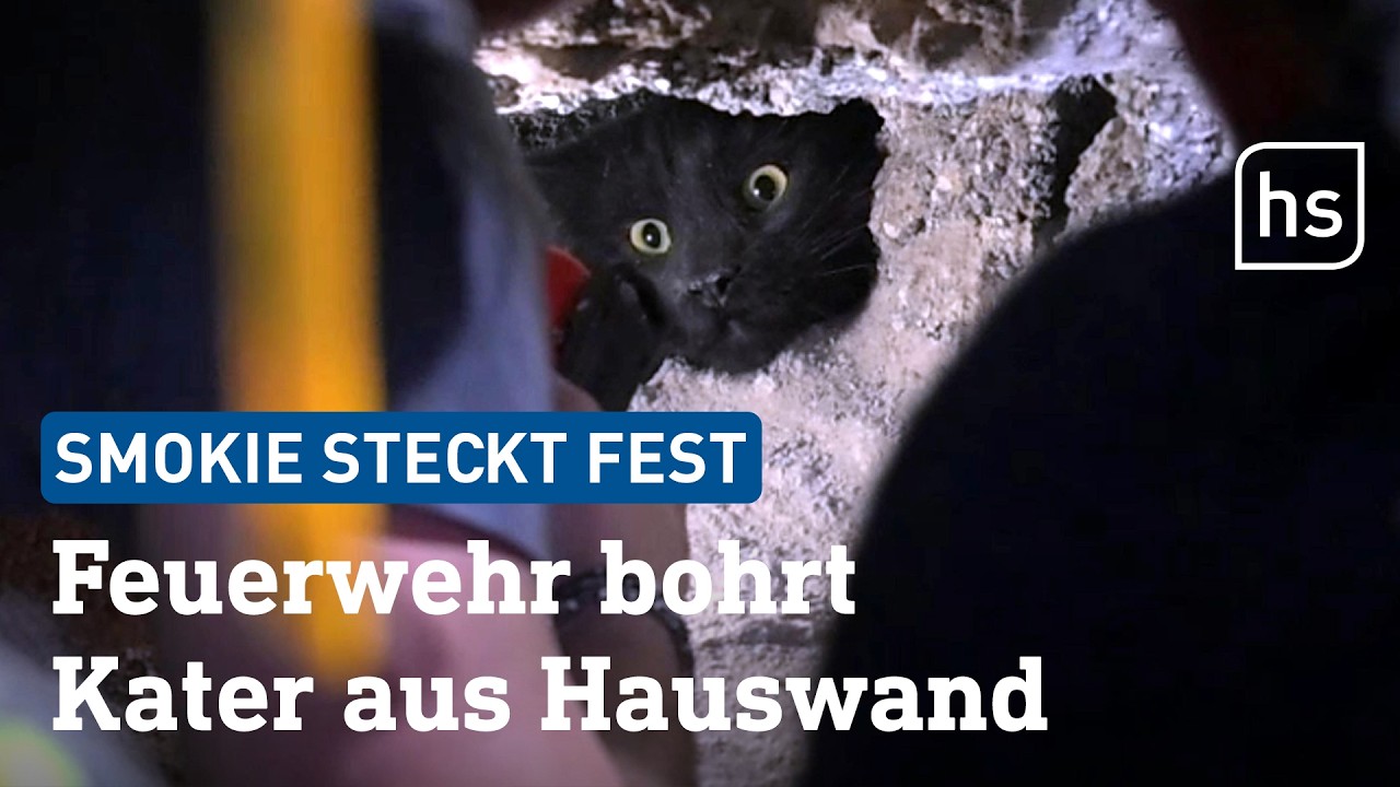 Kater steckt fest: Hier bohrt die Feuerwehr Bürstadt gleich die Wand auf | hessenschau