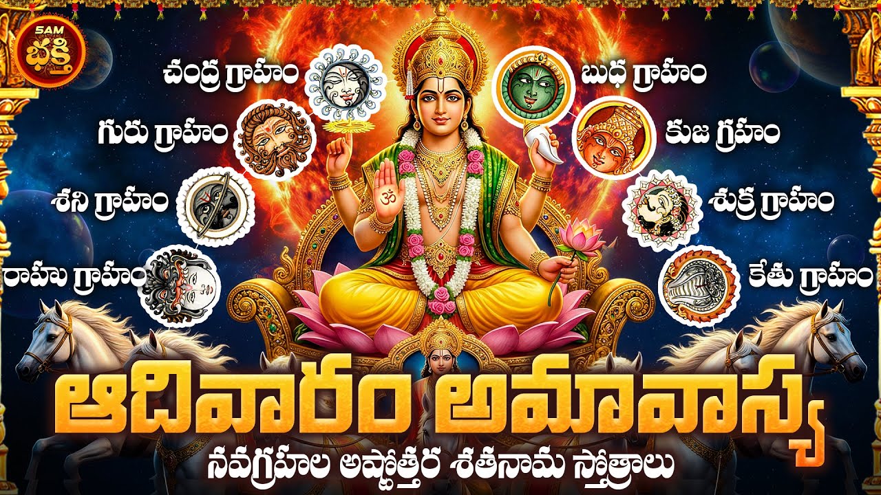 ఈఅమావాస్య అత్యంత శక్తివంతమైనది. పితృదేవతల ప్రీత్యర్ధం,నవగ్రహదేవతా ప్రీత్యర్ధం,గృహపీడ,నరధిష్ఠి నివారణ